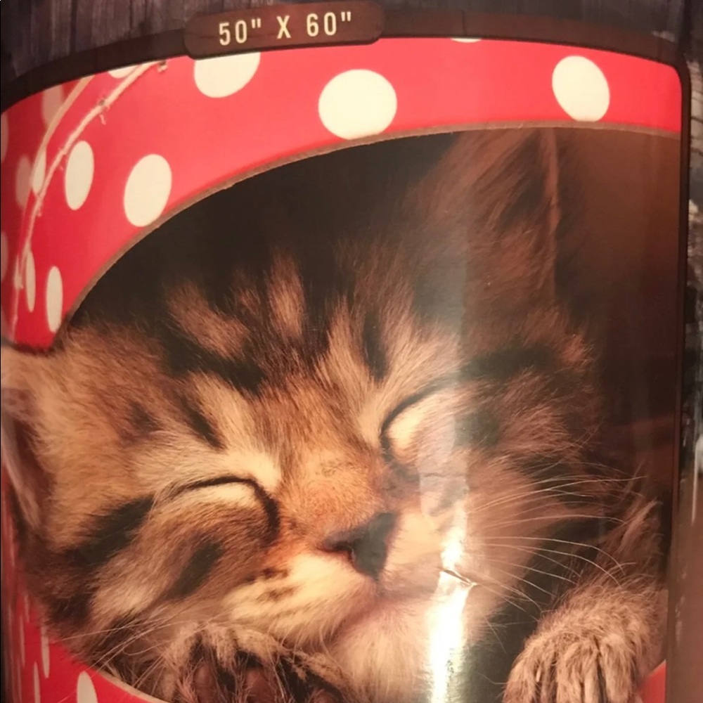 Kitten Throw blanket